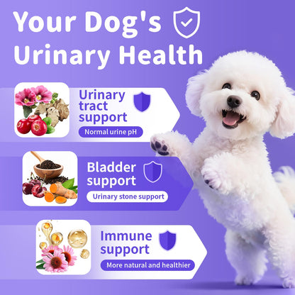 Cranberry Supplement for Dog UTI Treatment - Bladder Control - Urinary Tract Health + D-Mannose for Bladder Stones, Incontinence & Kidney & Immune Support - Bacon Flavor - 90 Count Soft Chews