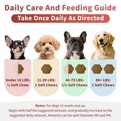 Dog Allergy Chews, Probiotics Supplement for Dogs Seasonal Allergies & Immune Support & Gut Health Pro, Mushroom Soft Chews for Joint, Energy, Itching Skin Support, Bacon Flavor - 90 Count