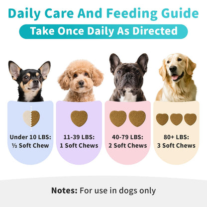 Skin & Allergy Care Supplement for Dog, Turmeric for Seasonal Sensitivity & Skin Nourishment Support - Rich in Probiotics, Omega-3 for Digestive & Gut Health Support - Chicken Flavor - 90 Count