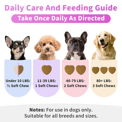 Itch Relief for Dogs - Turmeric Supplements for Itching Skin Comfort & Coat Health & Seasonal Allergy Care, Immune Support Supplement with Omega-3 Fish Oil, Biotin - Beef Flavor - 90 Count