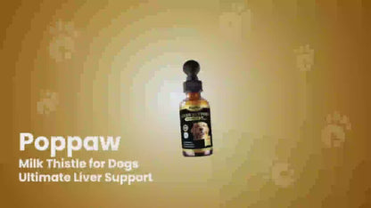 Liver Support Liquid Supplement For Dogs Bacon Flavor 60ml